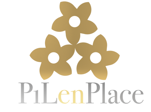 PiLenPlace